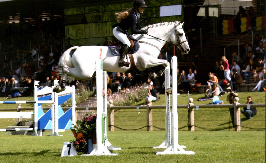 stallion1.jpg