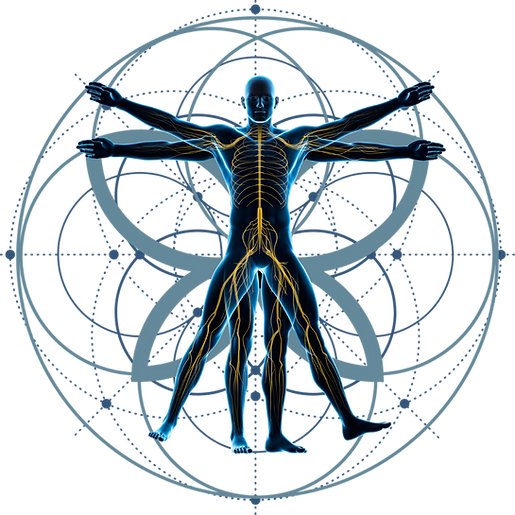 vitruvian man.png