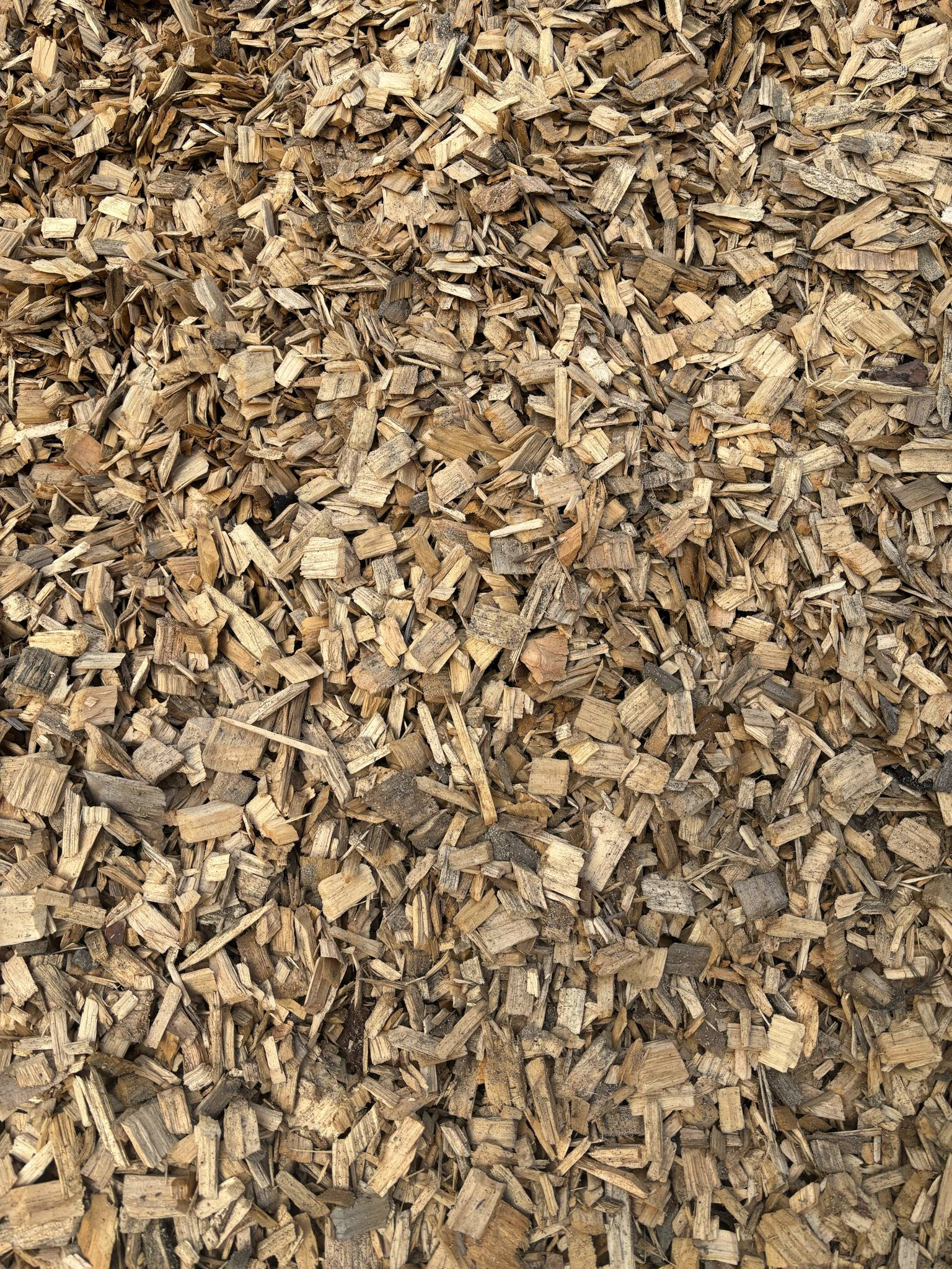 Pine Chips