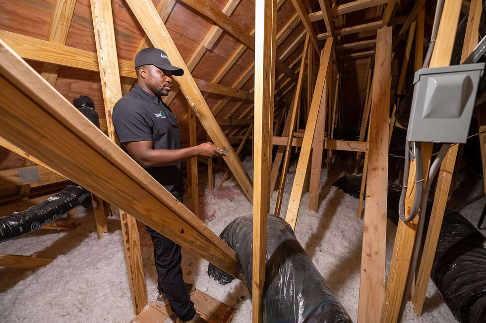 Attic2.jpeg