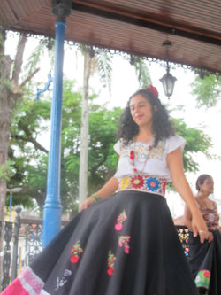 Proac Intervenção Caraguatatuba