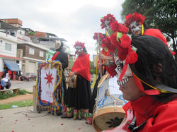 Proac Intervenção Brasilândia