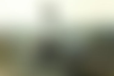 The Vietnam War – Heroes Within a Divided Nation