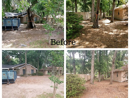 Tree Removal, Tree Prunning, Stump Grinding