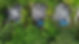 DJI_0118.JPG