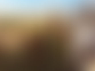 Alpaca Eco Farm: Doğanın Kalbinde Alpakalar ile 5 Çayı