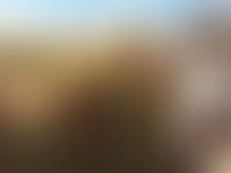 Alpaca Eco Farm: Doğanın Kalbinde Alpakalar ile 5 Çayı