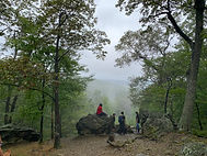 IMG_1785.jpeg