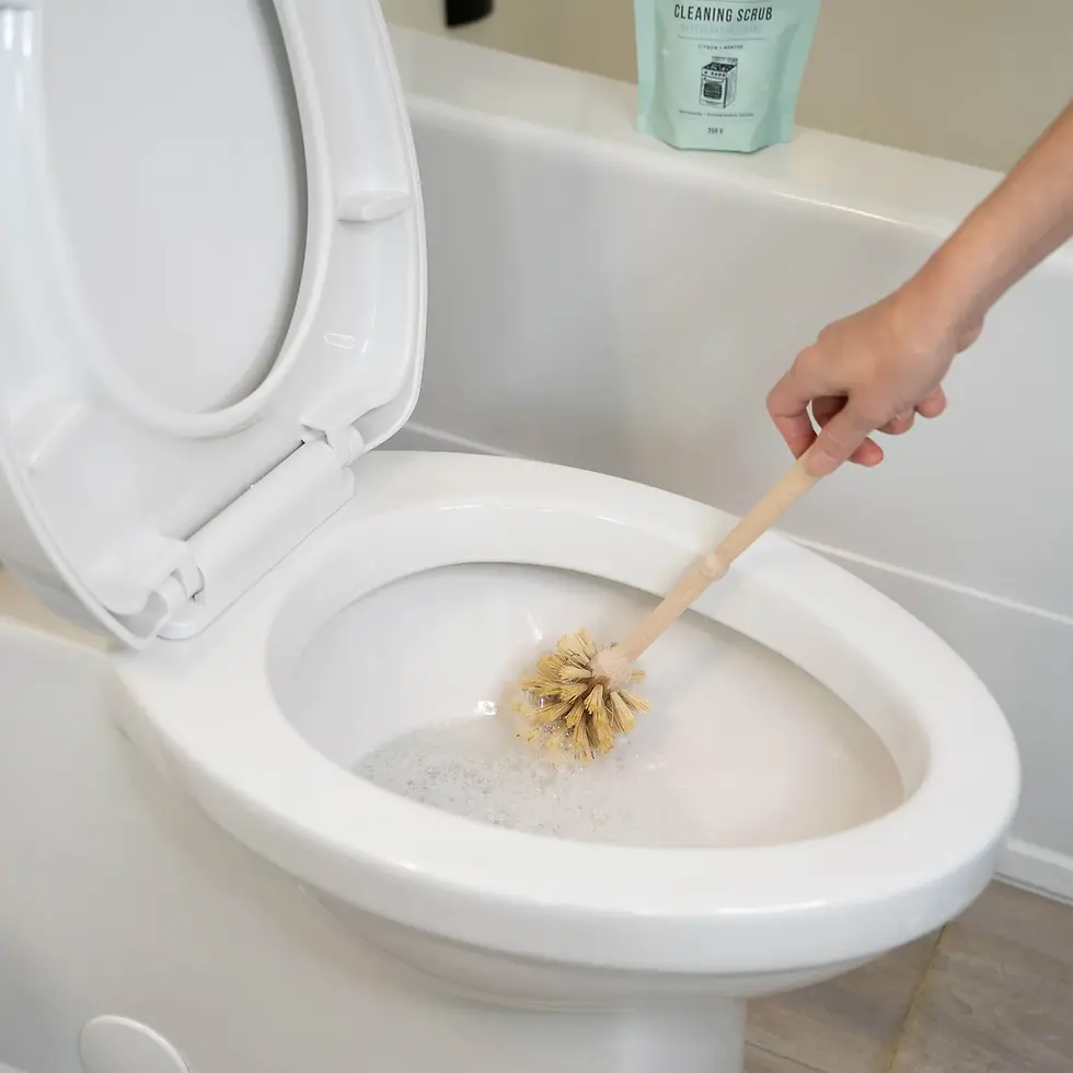 Thumbnail: MINT Cleaning Scrub