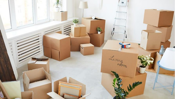 IMMOCAMBIER peut vous conseiller les services de professionnels locaux dans le domaine du déménagement et/ ou vide maison