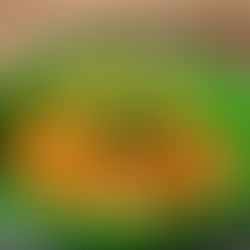 Spicy Creole Jambalaya