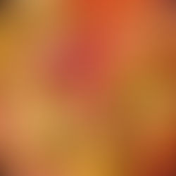 Low-fat Cabbage Soup