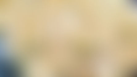 Zucchini and Squash Bake