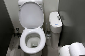 sanitary bin.jpeg