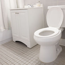 toilet.jpeg
