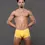 Miniatura: Happy Modal Boxer Yellow