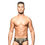 Miniatura: Massive Radiant Brief
