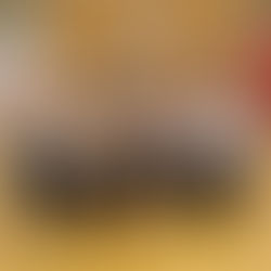 The Roar of the Crowd: Celebrating Athletic Excellence and Community Spirit at Horizon