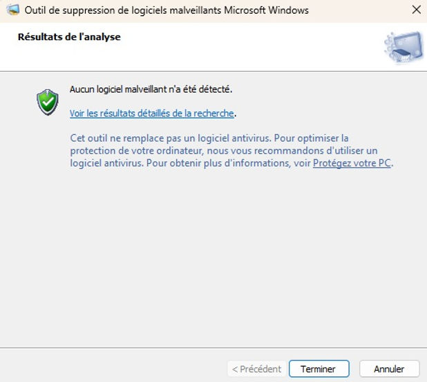 7 - MAJ et Scan Rapide WD.jpg