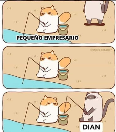 hc15.jpg
