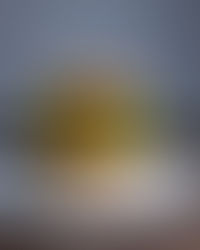 Chipotle Bean Burger with Homemade Hummus