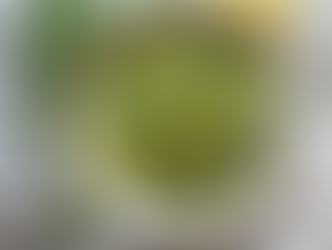 Strawberry and Pistachio Raw Chocolate Brownies