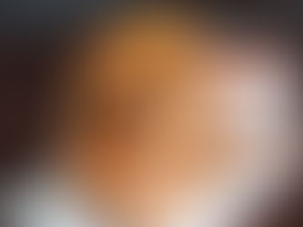 Pizza Grilled Cheese by Follow Your Heart