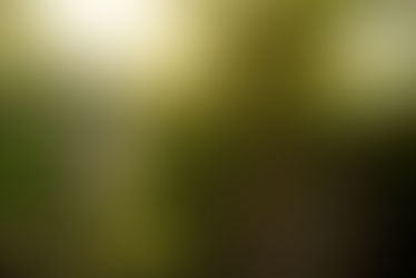 Cultivating Juiciness With Ayurveda