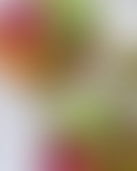 Probiotic-Packed Buddha Bowls