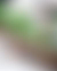 Healthy Mint Chocolate Slices