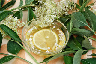 Herbal Infusions to Heal Coughs & Fight Fatigue