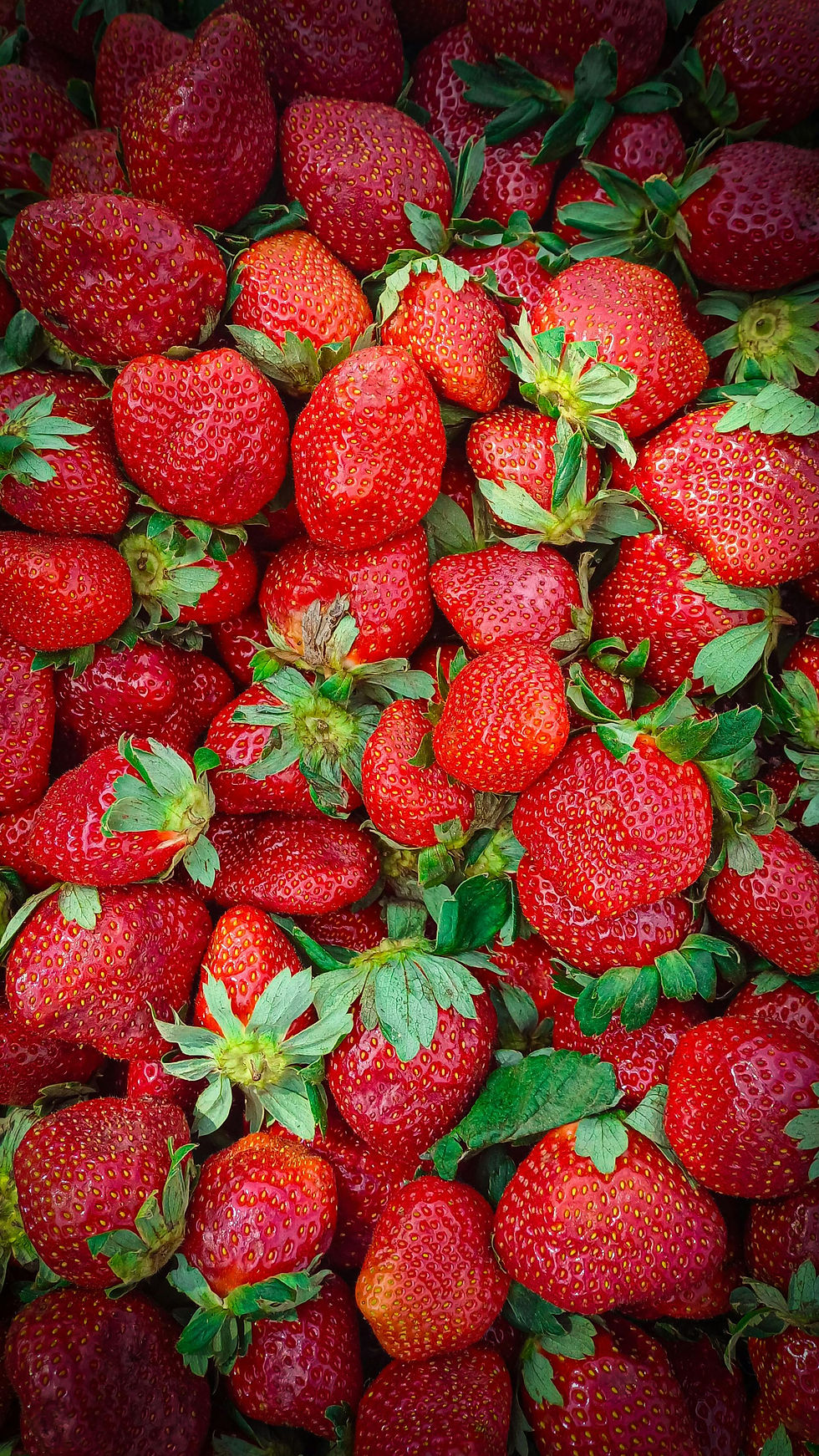 Strawberries