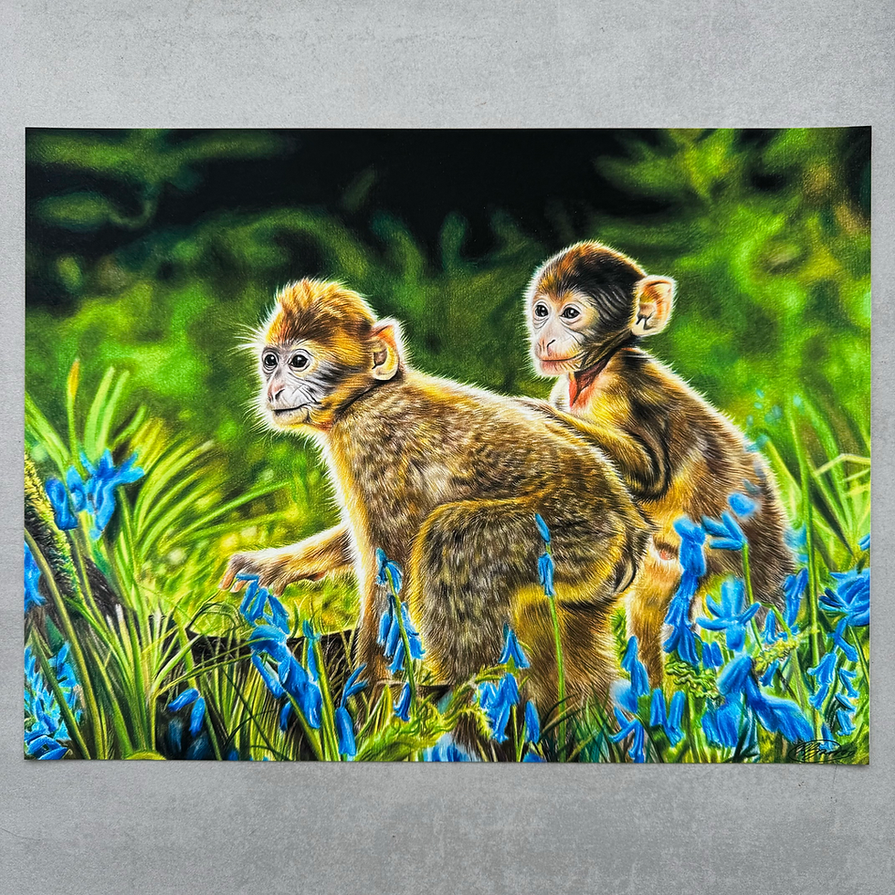 Thumbnail: 'Trentham Monkey Forest' Print