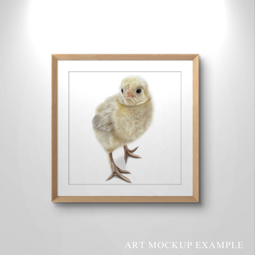 Thumbnail: 'Easter Chick' Print