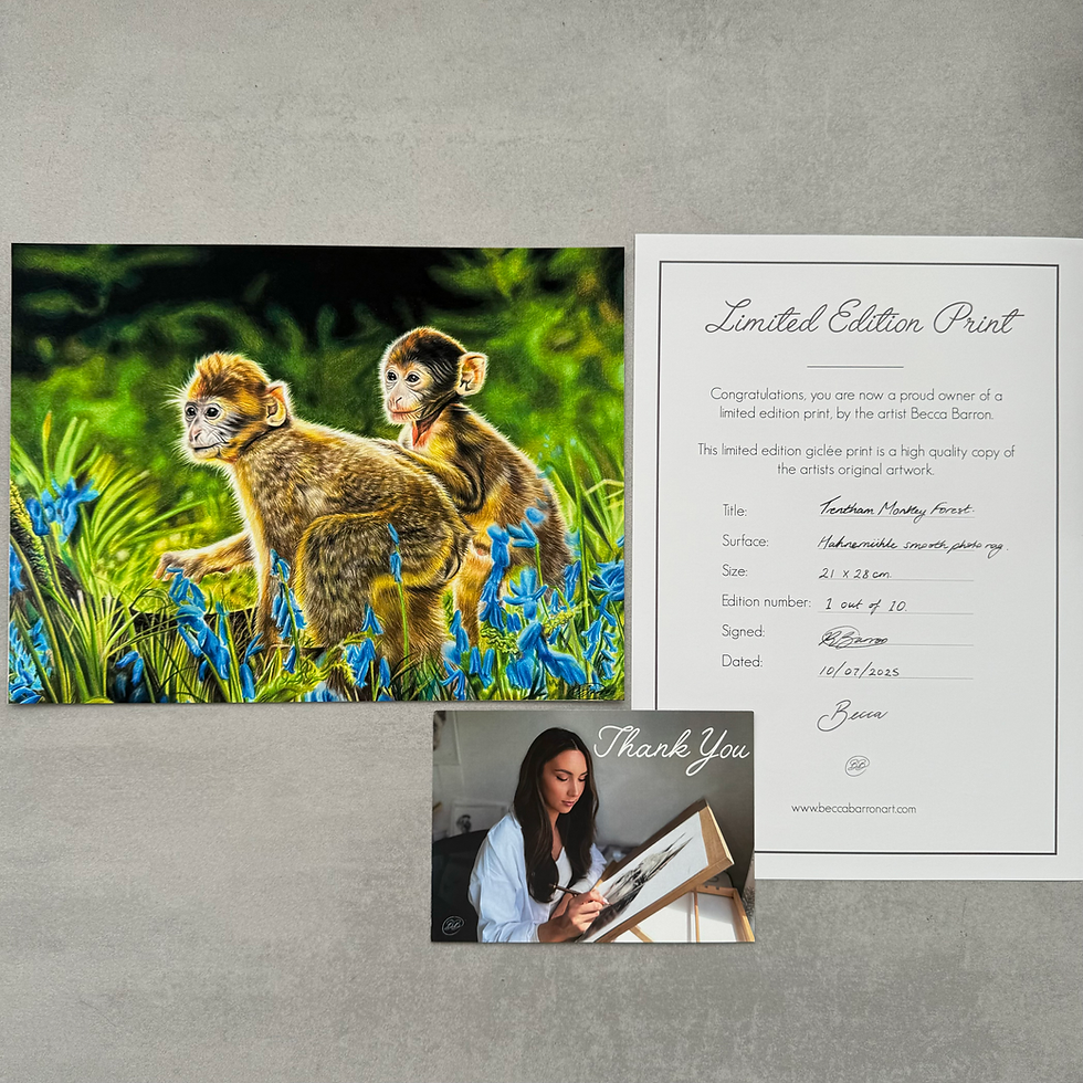 Thumbnail: 'Trentham Monkey Forest' Print