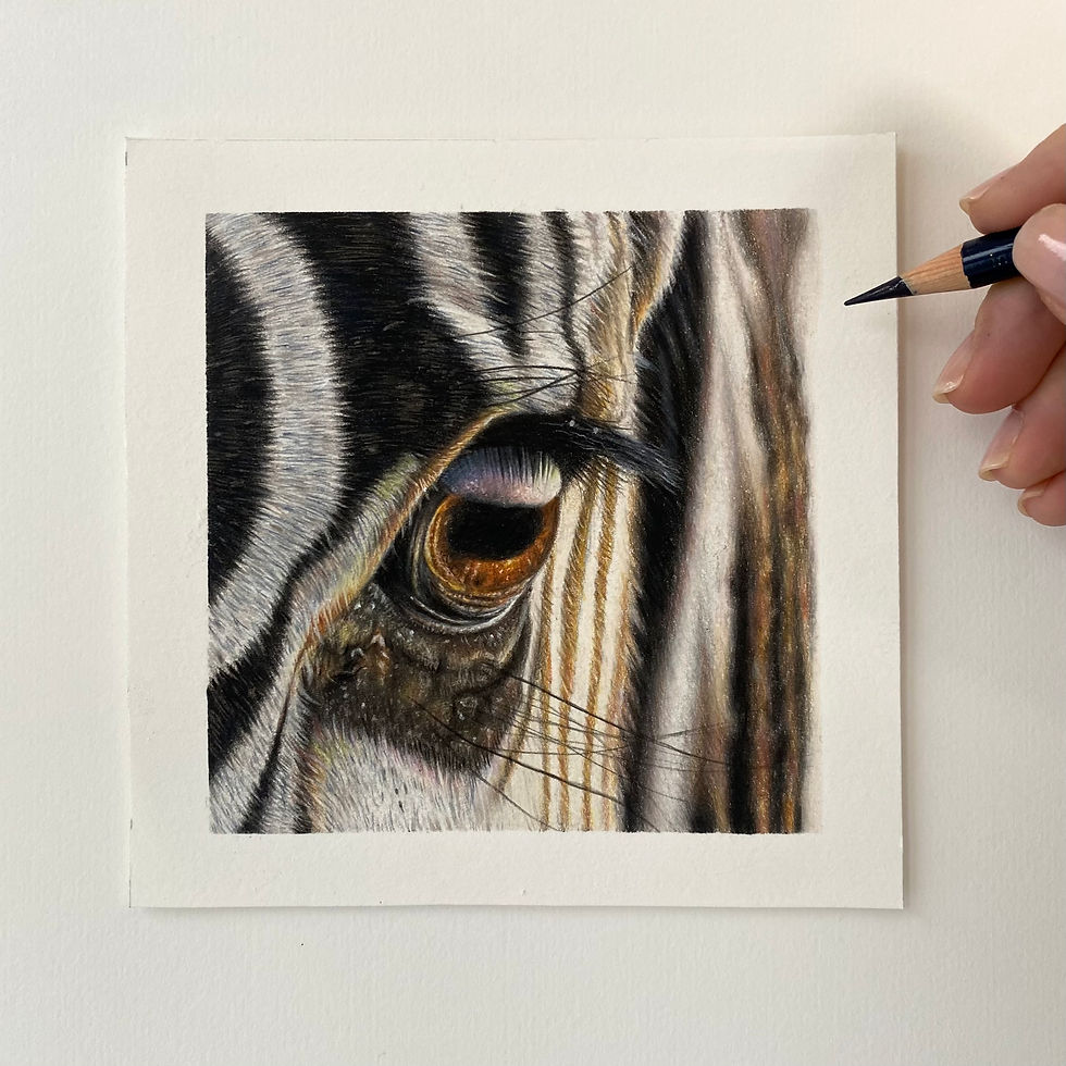 Thumbnail: Zebra Eye Focus Tutorial