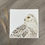Thumbnail: 'Snowy Owl' Print