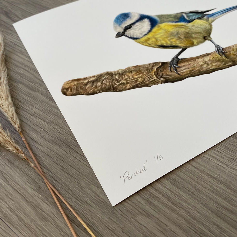 Thumbnail: ‘Perched’ Print