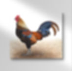 'Shake Your Tail Feather' Print