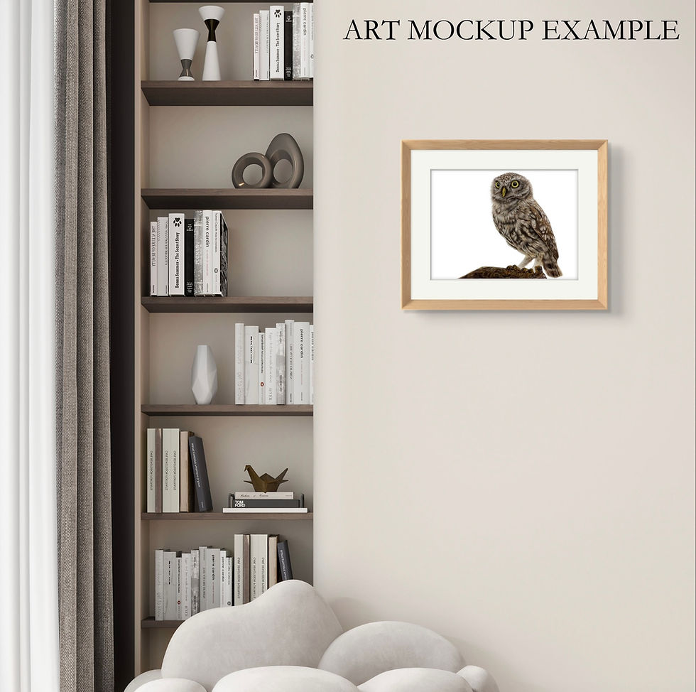 Thumbnail: 'Little Owl' Print