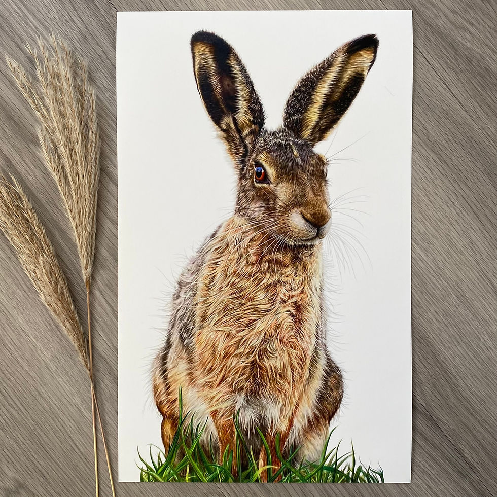 Thumbnail: ‘On Lookout’ Print