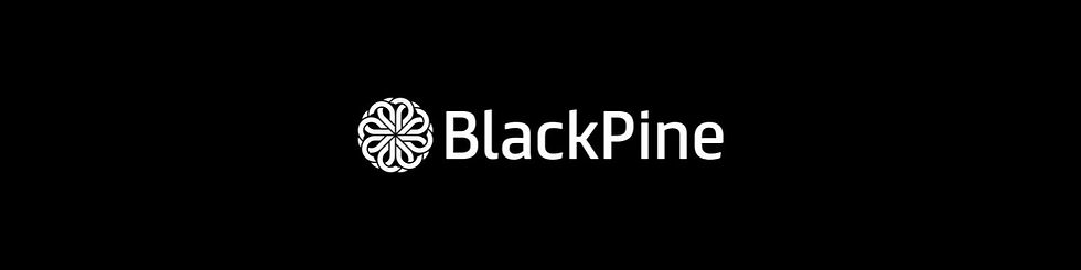 blackpine_private_equity_partners_cover.jpeg