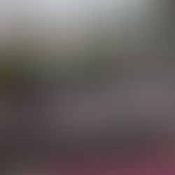 PORSCHE TEM FIM DE SEMANA PERFEITO NA WEC, FERRARI E TOYOTA DECEPCIONAM, PEUGEOT É DESCLASSIFICADA.