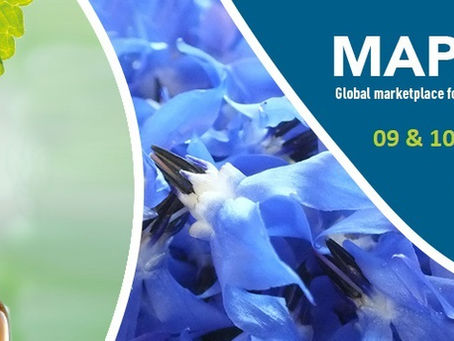 The Global Marketplace for Medicinal & Aromatic Plants