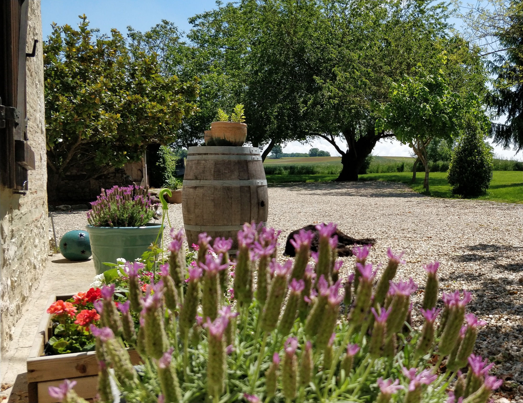 Garrigue services or DJ payment