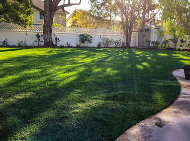 lawn installation oceanside