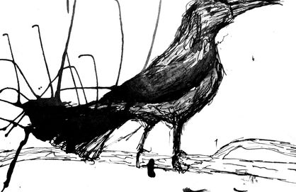 Crow_14x21_inkonpaper.jpeg