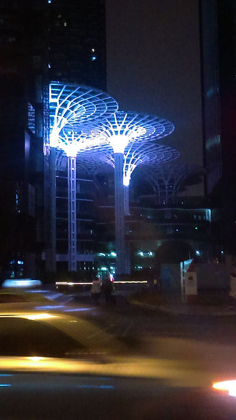 imag0860.jpg