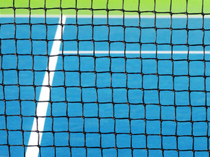 Elevate Your Pickleball Game with Dominator Netting: The Ultimate Court Upgrade for Any Environment