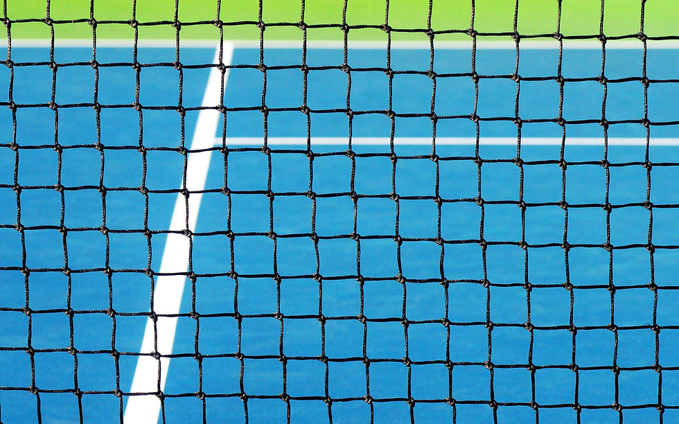 Tennis Court Net